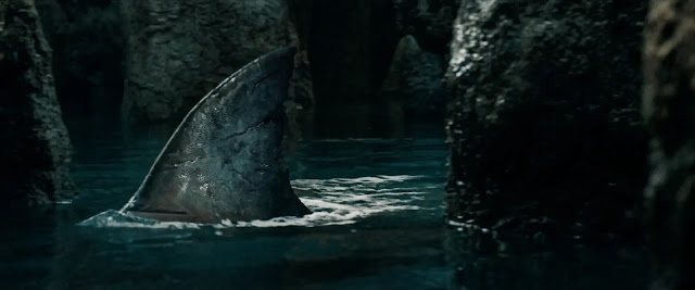 A shark's dorsal fin above the dark cave water